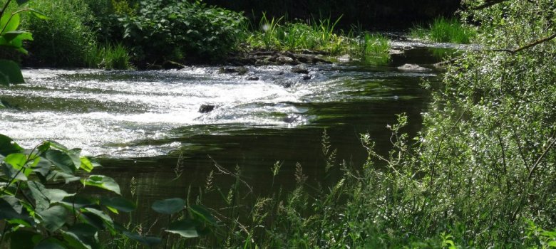 Fluss "Sauer"