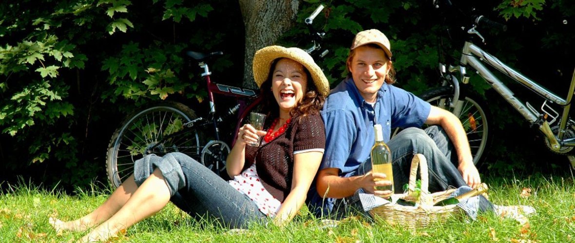 Paar beim Picknick auf der Wiese
